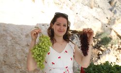 Mersin'de Üzüm Şenliği coşkusu