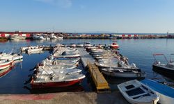 Marmara sıcak olunca balıkçılar rotayı Karadeniz'e çevirdi