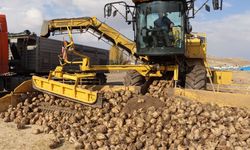 Şeker pancarı alım fiyatı ton başına bin 855 lira