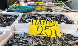 Hamside kampanya: kasası 250 TL