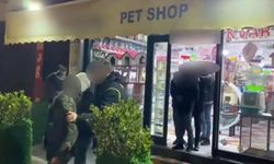 Pet shop'ta düzensiz göçmen operasyonu