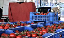 Antalya’da domates miktarı da fiyatı da arttı