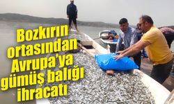 Bozkırın ortasından Avrupa’ya gümüş balığı ihracatı