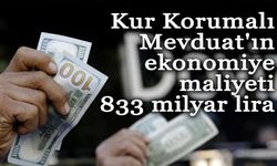 Kur korumalı Mevduat'ın maliyeti 833 milyar lira olarak açıklandı