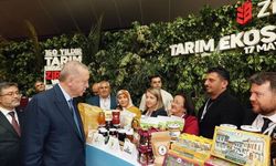 Erdoğan Osmaneli'nin yöresel ürünlerini tattı