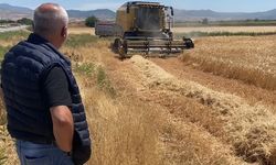 Üzümüyle ünlü Manisa'nın Alaşehir ilçesinde arpa hasadı başladı