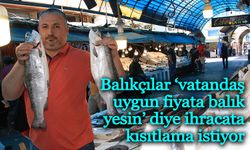 Balıkçılar ‘vatandaş uygun fiyata balık yesin’ diyerek ihracata kısıtlama istiyor