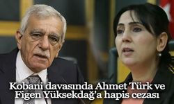 Kobani davasında Ahmet Türk ve Figen Yüksekdağ'a hapis cezası