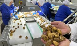 Kuru üzüm, kuru kayısı ve kuru incirin ihracatı 1 milyar doları aştı
