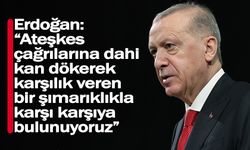 Erdoğan: “Ateşkes çağrılarına dahi kan dökerek karşılık veren bir şımarıklıkla karşı karşıya bulunuyoruz”