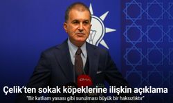 AK Parti Sözcüsü Çelik’ten sokak köpeklerine ilişkin açıklama