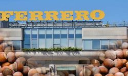 Ferrero sürdürülebilir fındık için kaydettiği güçlü ilerlemeyi ve yeni dönem hedeflerini açıkladı