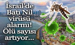 İsrail’de Batı Nil virüsü alarmı! Ölü sayısı artıyor...