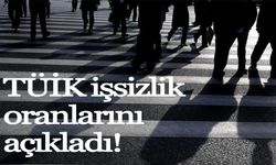 TÜİK işsizlik oranlarını açıkladı!