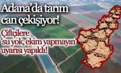 Adana çiftçisine 'su yok, ekim yapmayın' uyarısı