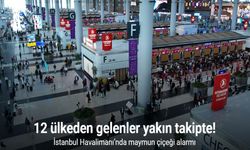 İstanbul Havalimanı'nda Maymun Çiçeği alarmı!