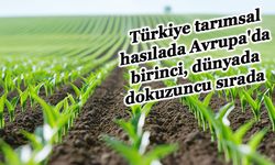 Türkiye tarımsal hasılada Avrupa'da birinci, dünyada dokuzuncu sırada