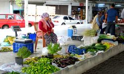 Kırsaldaki kadınların geçim kaynağı ‘Köylü Pazarı'