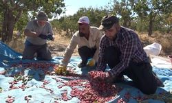 Elazığ'dan Gaziantep'e 'fıstıklı' gözdağı