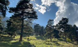 Sonbaharın ilk geldiği köy Artvin'de!