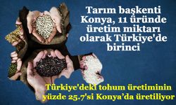 Tarım başkenti Konya, 11 üründe üretim miktarı olarak Türkiye'de birinci