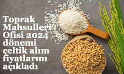 Toprak Mahsulleri Ofisi 2024 dönemi çeltik alım fiyatları belirlendi