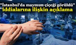 İstanbul İl Sağlık Müdürlüğü'nden "İstanbul'da maymun çiçeği görüldü" iddialarına ilişkin açıklama