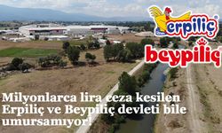 Milyonlarca lira ceza kesilen Erpiliç ve Beypiliç devleti bile umursamıyor!