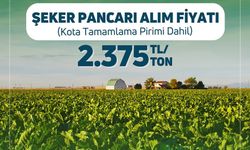 Şeker pancarında 2024 yılı alım fiyatı ton başına 2 bin 375 lira olarak belirlendi