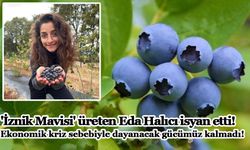 'İznik Mavisi' üreten Eda Halıcı isyan etti! Ekonomik kriz sebebiyle dayanacak gücümüz kalmadı!