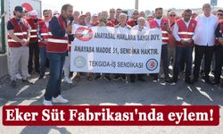 Eker Süt Fabrikası'nda eylem!