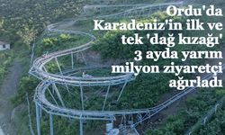 Ordu'da Karadeniz'in ilk ve tek 'dağ kızağı' 3 ayda yarım milyon ziyaretçi ağırladı