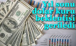 Yıl sonu dolar kuru beklentisi geriledi