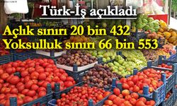 Türk-İş ekim ayı açlık ve yoksulluk sınırını açıkladı