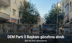 9 yıl önce 13 polisin şehit edildiği saldırıyla ilgili DEM Parti Iğdır İl Başkanı gözaltına alındı