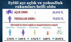 DİSK Birleşik Metal-İş Sınıf Araştırmaları Merkezi Eylül ayı açlık ve yoksulluk sınırı rakamlarını açıkladı