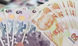 50 TL ve 5 TL’lik yeni banknotlar tedavüle verildi