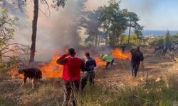 Antalya'da hava aracı ormanlık alana düşüp infilak etti