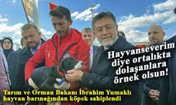 Tarım ve Orman Bakanı İbrahim Yumaklı, hayvan barınağından köpek sahiplendi