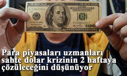 Para piyasaları uzmanları: "Sahte dolar krizi 2 haftaya çözülür"