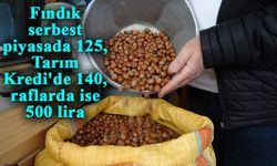 Fındık serbest piyasada 125, Tarım Kredi'de 140, raflarda ise 500 lira