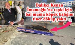 Balıkçı Kenan İmamoğlu’na tepki için bal mumu köpek balığını tiner döküp yaktı