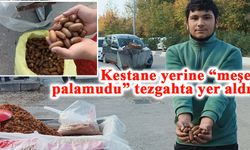 Kestane yerine “meşe palamudu” tezgahta yer aldı