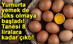 Yumurta yemek de lüks olmaya başladı! Tanesi 8 liralara kadar çıktı!