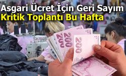 Yeni yılda geçerli olacak asgari ücretin bu hafta belirlenmesi bekleniyor