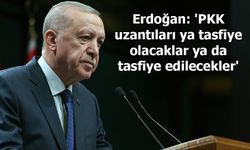 Erdoğan: 'PKK uzantıları ya tasfiye olacaklar ya da tasfiye edilecekler'