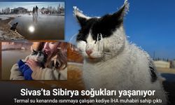 Sibirya Soğunda Termal Su Kenarında Isınmaya Çalışan Kedi Görenleri Şaşırttı