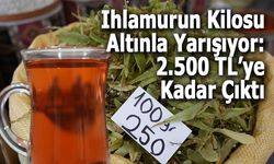 Ihlamurun Kilosu Altınla Yarışıyor: 2.500 TL’ye Kadar Çıktı