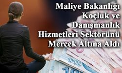 Maliye Bakanlığı Koçluk ve Danışmanlık Hizmetleri Sektörünü Mercek Altına Aldı