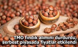 TMO fındık alımını durdurdu, serbest piyasada fiyatlar etkilendi